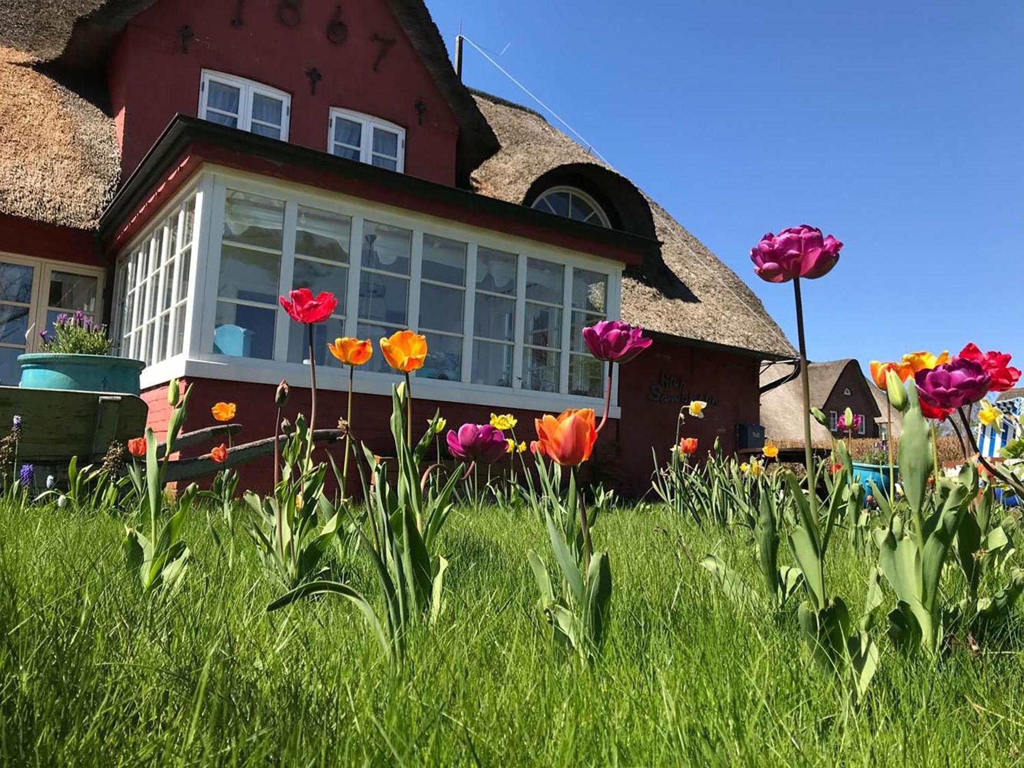 Hues Sanskiin Ferienwohnung *Goodshenk* Suddorf Kültér fotó