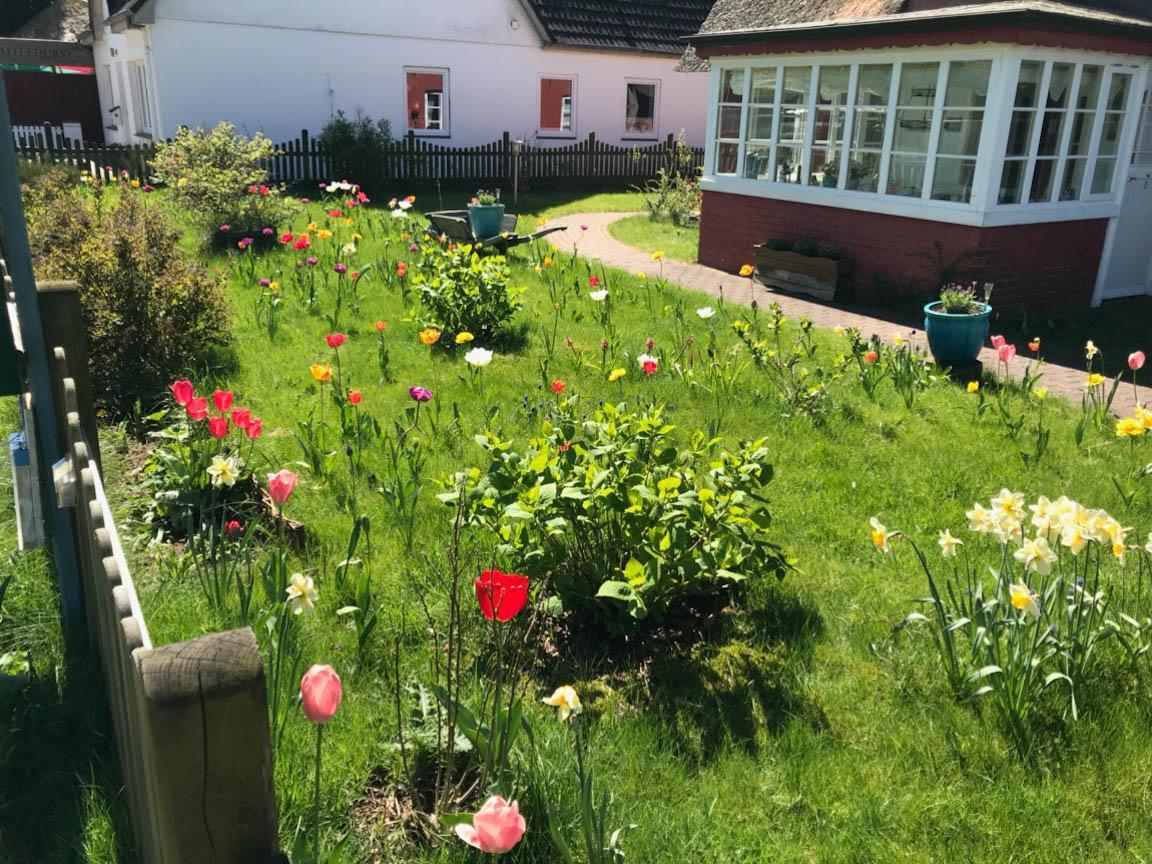 Hues Sanskiin Ferienwohnung *Goodshenk* Suddorf Kültér fotó